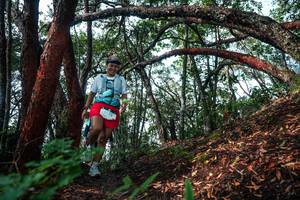 BIB: 
                            <button type="button" onclick="openModal(26345025)" class="btn btn-primary btn-sm float-right btn-popup" data-toggle="modal" data-target=".modal-high-quality">
                        <i class="fas fa-shopping-cart"></i> Add to Cart
                    </button>
                                            <button type="button" onclick="isThisMe(26345025, true)" class="btn btn-success btn-sm float-right btn-popup btn-isme hidden" data-toggle="tooltip" data-placement="bottom" title="นี่คือรูปของคุณใช่ไหม คลิกที่นี่เพื่อเอาเข้าอัลบั้ม">
                        <i class="fas fa-plus"></i> Add to album
                    </button>
                    <button type="button" onclick="isThisMe(26345025, false)" class="btn btn-warning btn-sm float-right btn-popup btn-isnotme hidden">
                        <i class="fas fa-ban"></i> Remove from album
                    </button>